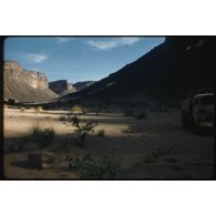 [Camions dans le désert].