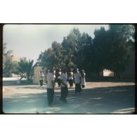 Désensablage, docteur Rouffi, Hassi-Messaoud, animaux, généralités, divers, signes marchands. [légende d'origine]