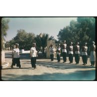 Désensablage, docteur Rouffi, Hassi-Messaoud, animaux, généralités, divers, signes marchands. [légende d'origine]