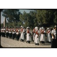 Désensablage, docteur Rouffi, Hassi-Messaoud, animaux, généralités, divers, signes marchands. [légende d'origine]