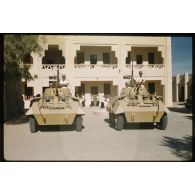 Désensablage, docteur Rouffi, Hassi-Messaoud, animaux, généralités, divers, signes marchands. [légende d'origine]