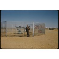 Désensablage, docteur Rouffi, Hassi-Messaoud, animaux, généralités, divers, signes marchands. [légende d'origine]