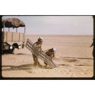 Désensablage, docteur Rouffi, Hassi-Messaoud, animaux, généralités, divers, signes marchands. [légende d'origine]