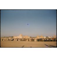 Désensablage, docteur Rouffi, Hassi-Messaoud, animaux, généralités, divers, signes marchands. [légende d'origine]