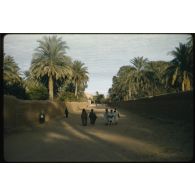 Habitations, père de Foucauld, Colomb Béchar, Divers. [légende d'origine]