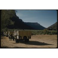 [Convoi de camions Berliet de la 2e Compagnie Saharienne Automobile de Transport (CAST) dans le Sahara algérien].