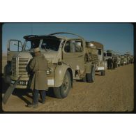 [Convoi de camions Berliet de la 2e Compagnie Saharienne Automobile de Transport (CAST) dans le Sahara algérien].