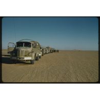 [Convoi de camions Berliet de la 2e Compagnie Saharienne Automobile de Transport (CAST) dans le Sahara algérien].