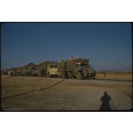 [Convoi de camions Berliet de la 2e Compagnie Saharienne Automobile de Transport (CAST) dans le Sahara algérien].