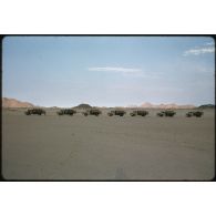 [Convoi de camions dans le Sahara algérien].