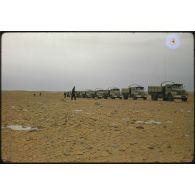 [Convoi de camions Berliet de la 2e Compagnie Saharienne Automobile de Transport (CAST) dans le Sahara algérien].