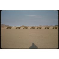 [Convoi de camions dans le Sahara algérien].