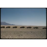 [Convoi de camions dans le Sahara algérien].