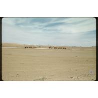 Sahara, puits de pétrole, Buldozer. [légende d'origine]