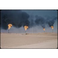 Sahara, puits de pétrole, Buldozer. [légende d'origine]