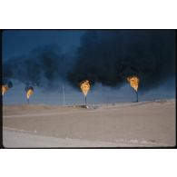 Sahara, vues aériennes, Départ d'Alger, Touggourt. [légende d'origine]