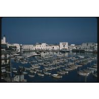 [Le port de pêche d'Alger].