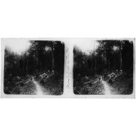 Dans la forêt de Tien Po. [légende d'origine]<br>