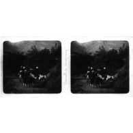 Descente de Champoung. [légende d'origine]<br>