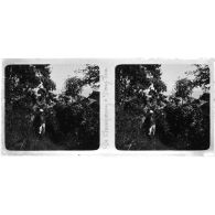 De Champoung à Dong Van. [légende d'origine]<br>