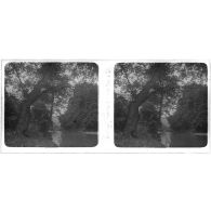 Bords du Song Nang. [légende d'origine]<br>