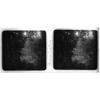 Bords du Song Nang. [légende d'origine]<br>