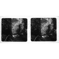 Cascade du Song-Nang. [légende d'origine]