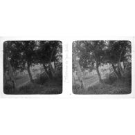 Marché de Yen Minh. [légende d'origine]<br>