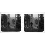 Plaine de Yen Minh. [légende d'origine]<br>