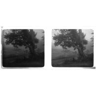 Yen Minh. [légende d'origine]<br>