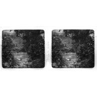 Bords de rivière. [légende d'origine]<br>