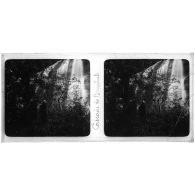 Cascade de Bacphat. [légende d'origine]<br>