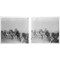 [Caravane de dromadaires].<br>