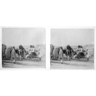 [Tchad : caravane de dromadaires].<br>