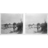 [Tchad : dromadaires].<br>