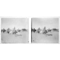 [Caravane de buffles].<br>