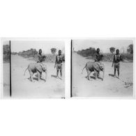 [Deux jeunes hommes et un éléphanteau].<br>