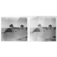 [Paysage de désert]<br>