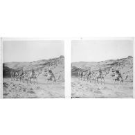 [Caravane de dromadaires].<br>