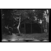 [Juillet 1915. La Faisanderie. baraque Adrian].