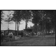 17-8-15. La Forestière. Les chantiers de bois.