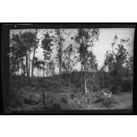 3-8-15. La Faisanderie. Trou de marmite. Gignet et Lebeau. [légende d'origine]