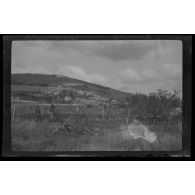 25-8-15. Entrée d'Ablain. Les défenses ? [légende d'origine]