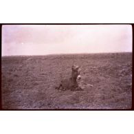 Foucaucourt. 10-16. Un bourriquot. [légende d'origine]