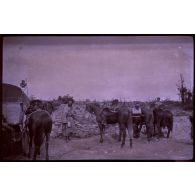 Fay. 14-9-16. Les goumiers. [légende d'origine]
