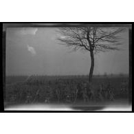 [La compagnie 21/1 du 11e régiment du génie - 1re 2e 3e section].