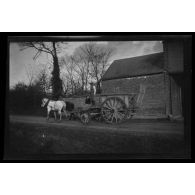 [Rouge Maison, novembre 1916. Henri et son attelage].