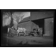 [Rouge Maison, novembre 1916. Henri et son attelage].