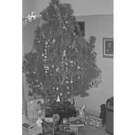 [Sapin de Noël].