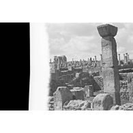Ruines de Timgad. [légende d'origine]